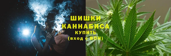 гидра Бугульма