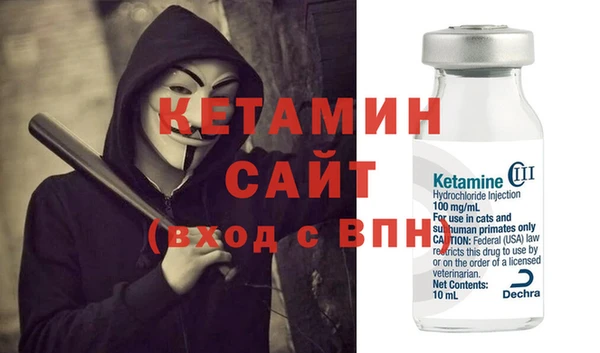 гидра Снежногорск