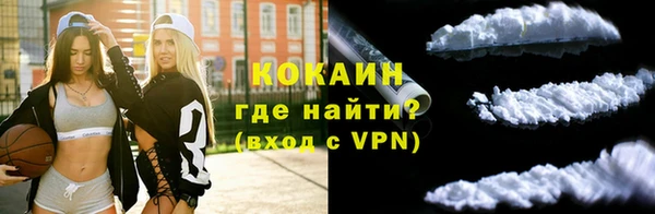 ПСИЛОЦИБИНОВЫЕ ГРИБЫ Бородино