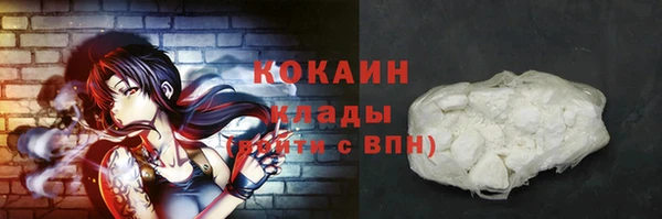 ПСИЛОЦИБИНОВЫЕ ГРИБЫ Бородино