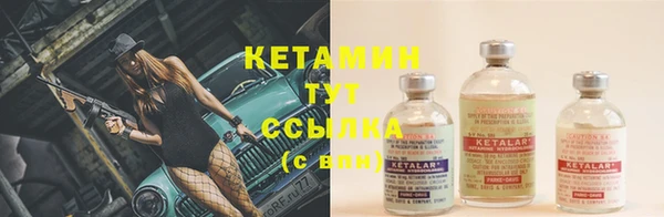 гидра Снежногорск