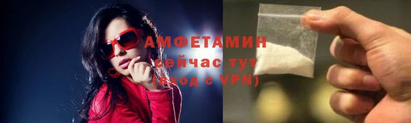спиды Богородицк