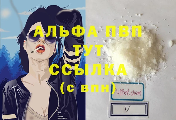 ПСИЛОЦИБИНОВЫЕ ГРИБЫ Бородино