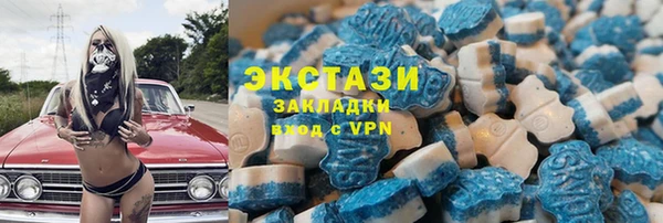 гидра Снежногорск