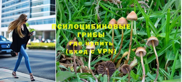 ПСИЛОЦИБИНОВЫЕ ГРИБЫ Бородино
