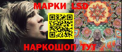 гидра Кандалакша
