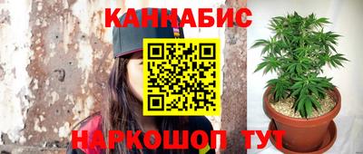 гидра Кандалакша