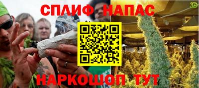 гидра Кандалакша