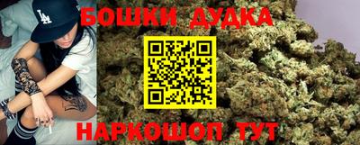 гидра Кандалакша