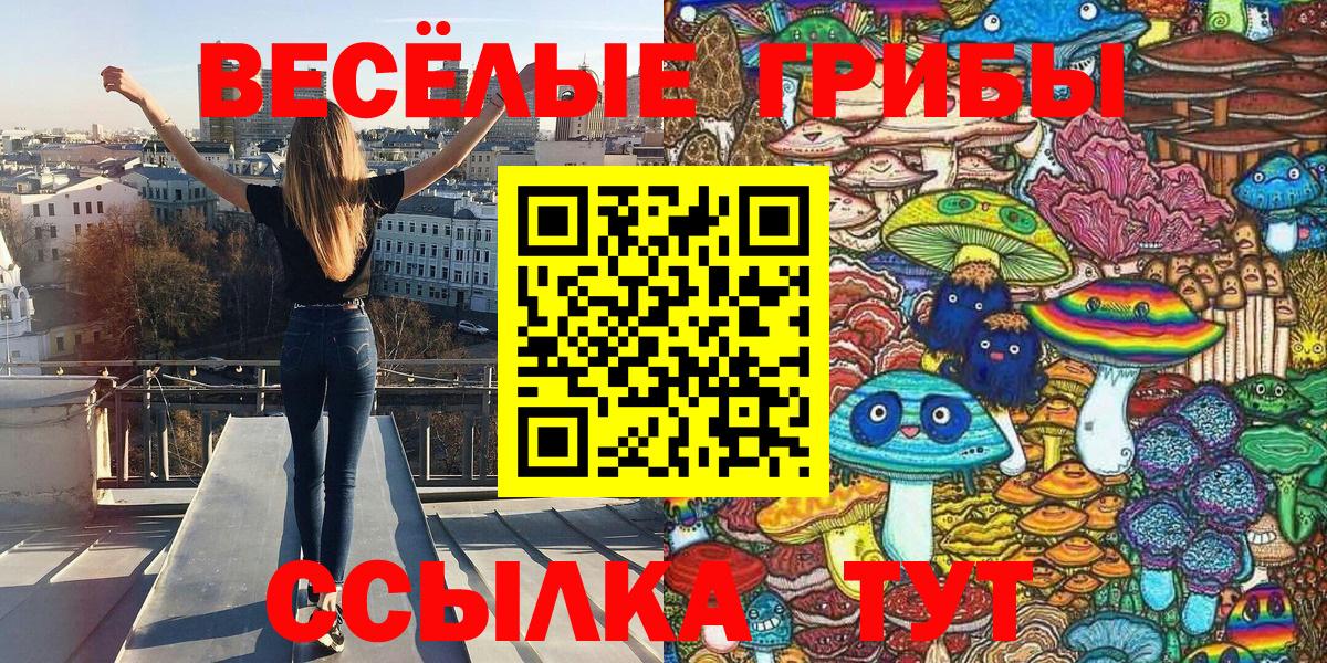Можайск  Псилоцибиновые грибы Psilocybine cubensis  Вход с VPN  Галлюциногенные грибы прущие грибы 